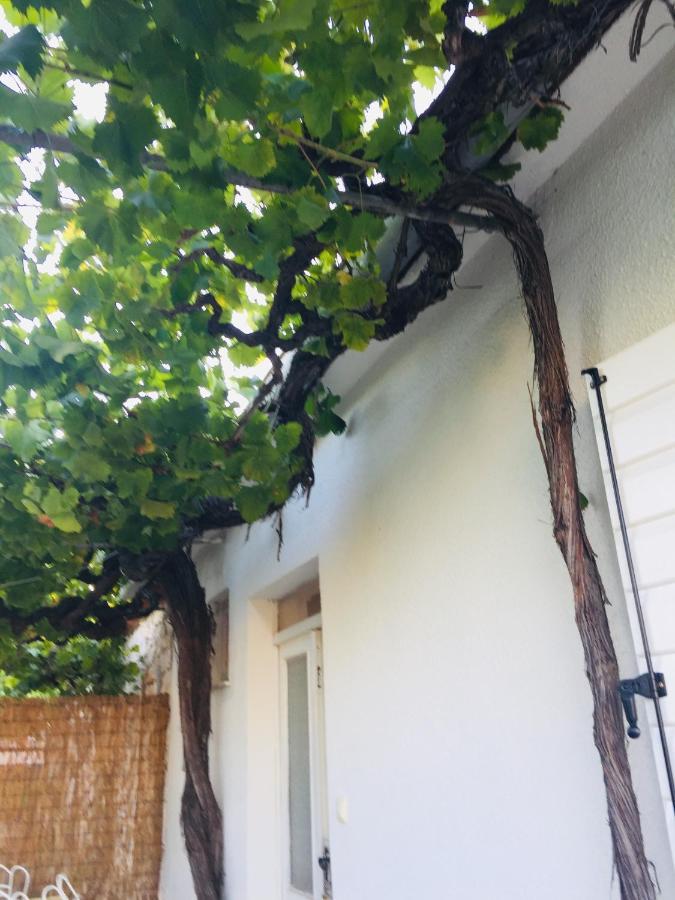 Sukošan Holiday Home Casa Bianca מראה חיצוני תמונה